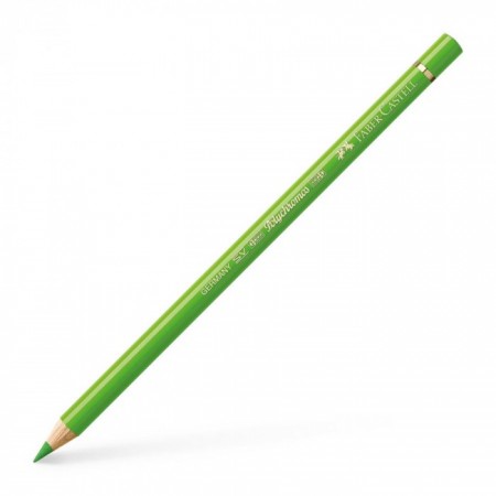 Polychromos Colour Pencil grass green